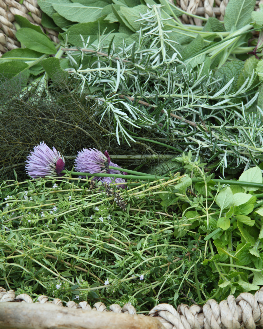 Les véritables Herbes de Provence